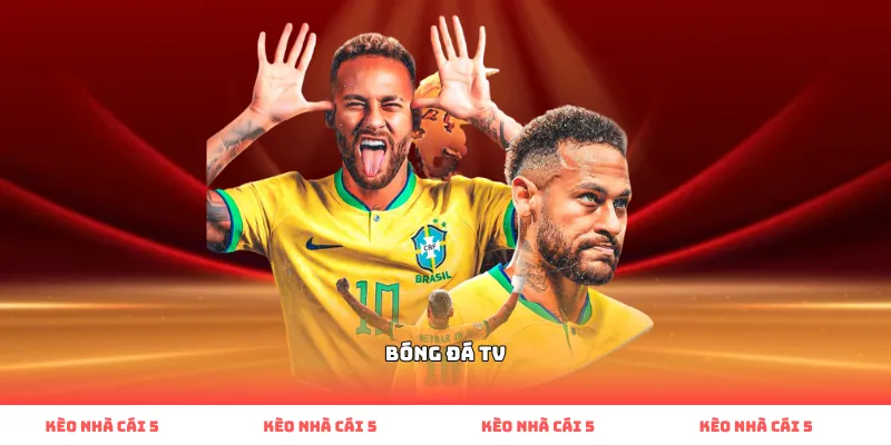 bóng đá tv